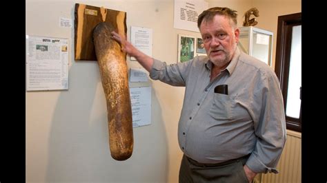 big penic pic|Human penis .